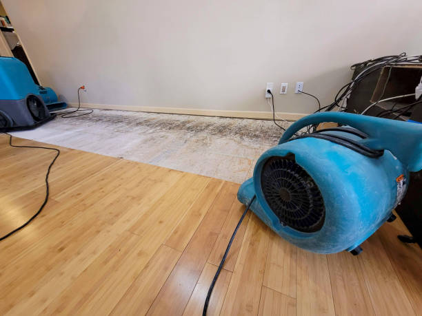 Professional Water Damage Repair technician working in Brentwood, CA